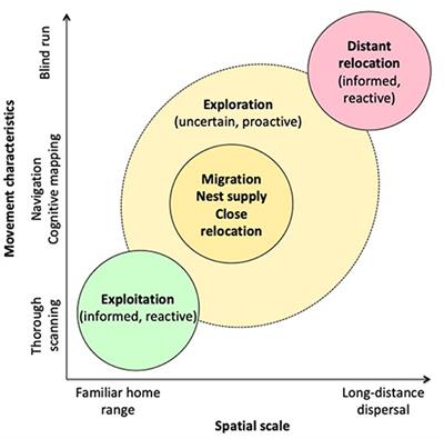 Behavior in a Changing Landscape: Using Movement Ecology to Inform the Conservation of Pond-Breeding Amphibians